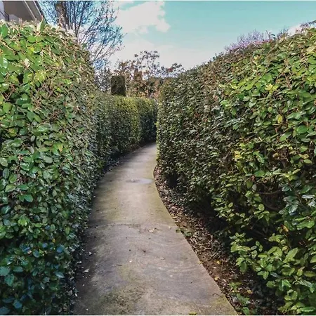 Des Amoureux Appartement